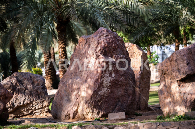 صورة لمجموعة من الصخور في المملكة العربية السعودية، الاشجار والنباتات، مناظر طبيعية خلابة، جمال الطبيعة في السعودية، اشجار النخيل