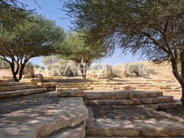 منظر طبيعي صحراوي ووادي ذو جدران مدرجات حجرية جيرية بارزة، وأشجار سنط وشجيرات صحراوية أمام سماء زرقاء في وادي حنيفة، المملكة العربية السعودية