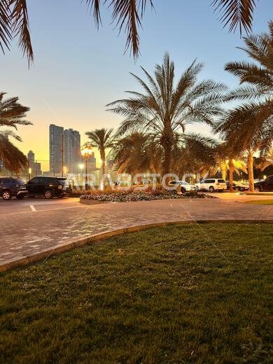 حديقة المجاز