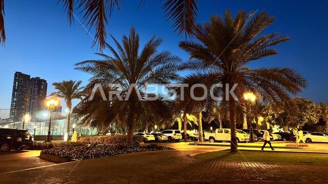 حديقة المجاز