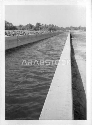 مشاهد من الهفوف، الأحساء، المملكة العربية السعودية، حوالي عام 1968