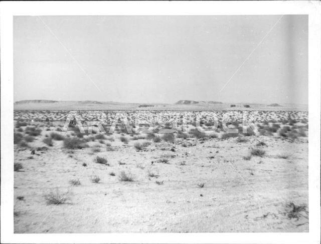 مشاهد من الهفوف، الأحساء، المملكة العربية السعودية، حوالي عام 1968