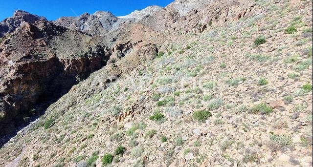 إطلالة بانورامية على الطائف من تلفريك الهدا