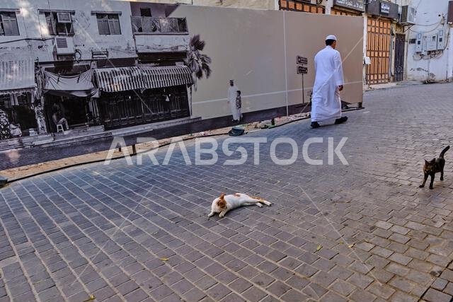المملكة العربية السعودية، منطقة مكة المكرمة، جدة، البلدة القديمة التاريخية (البلد)، أحد مواقع التراث العالمي لليونسكو، قطة الشارع