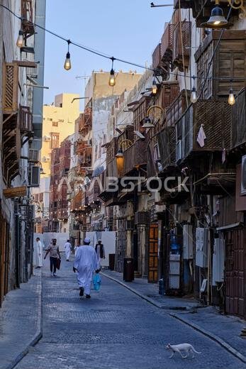 Saudi Arabia, Mecca Province, Jeddah, the historic old town of Al-Balad, a UNESCO World Heritage Site, street cat