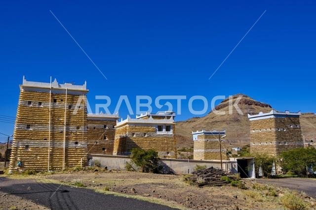 Saudi Arabia, Asir province, Sarat Abidah village