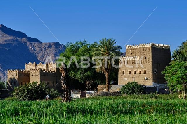 المملكة العربية السعودية, منطقة نجران, نجران, البيت الترابي التقليدي المملكة العربية السعودية, منطقة نجران, نجران, البيت الترابي التقليدي