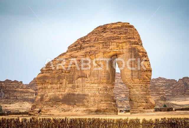 منظر صخرة الفيل الشهيرة في العلا بالمملكة العربية السعودية في يوم مشمس.