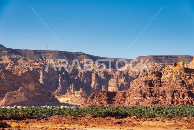 ترتفع بساتين النخيل الوارفة والتكوينات الصخرية القديمة من رمال صحراء العلا، وهي واحة خلابة في قلب شمال غرب المملكة العربية السعودية الوعر.