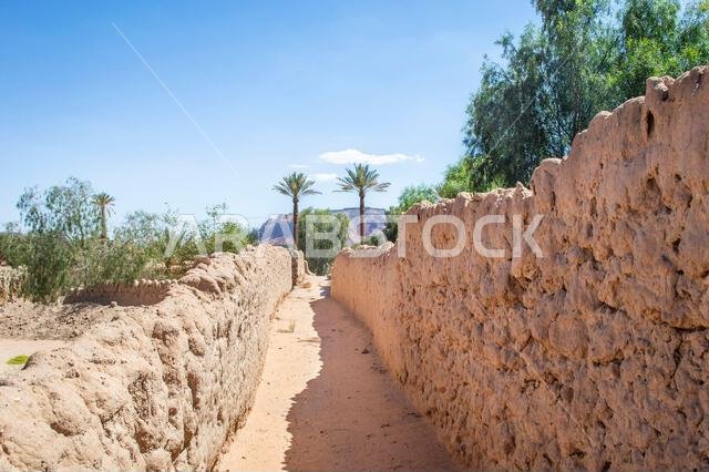 View of in Saudi Arabia AlUla Oasis Heritage Trail with date trees nearby on a sunny day. View of in Saudi Arabia AlUla Oasis Heritage Trail with date trees nearby on a sunny day.