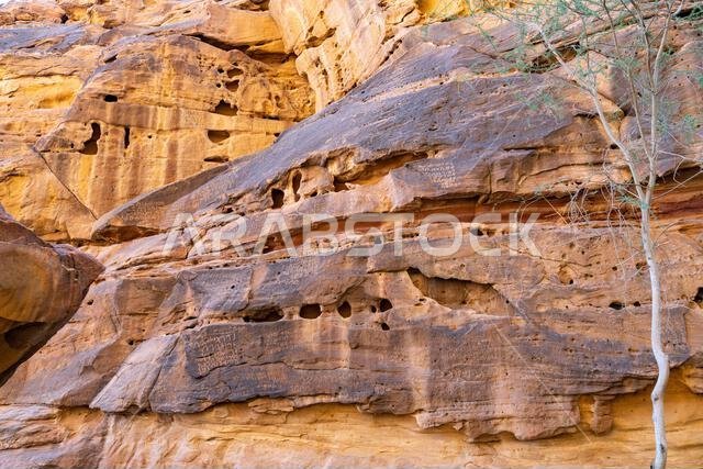 جبل عكمة، مكتبة اليونسكو المفتوحة المنحوتة في صخور الحجر الرملي في العلا بالمملكة العربية السعودية، تحفظ كلمات ونقوشاً قديمة لحضارة عريقة. جبل عكمة، مكتبة اليونسكو المفتوحة المنحوتة في صخور الحجر الرملي في العلا بالمملكة العربية السعودية، تحفظ كلمات ونقوشاً قديمة لحضارة عريقة.
