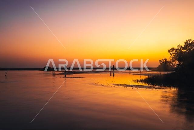 Nature of beauty of Red sea shore of Saudi Arabia
