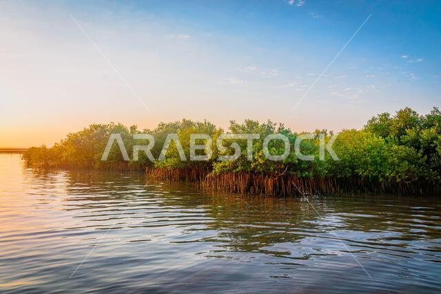 Nature of beauty of Red sea shore of Saudi Arabia Nature of beauty of Red sea shore of Saudi Arabia