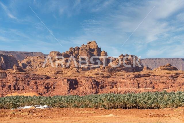 ترتفع بساتين النخيل الوارفة والتكوينات الصخرية القديمة من رمال صحراء العلا، وهي واحة خلابة في قلب شمال غرب المملكة العربية السعودية الوعر.