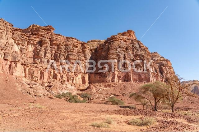 الآثار القديمة المذهلة للمقابر المنحوتة في الصخر في موقع دادان الأثري، إرث حضارة تاريخية مفقودة، العلا، المملكة العربية السعودية