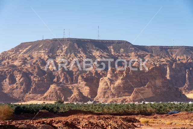 ترتفع بساتين النخيل الوارفة والتكوينات الصخرية القديمة من رمال صحراء العلا، وهي واحة خلابة في قلب شمال غرب المملكة العربية السعودية الوعر.