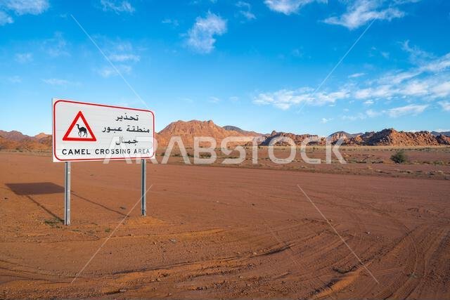 استمتع بالقيادة على الطريق الخلاب بين الرياض والعلا، مروراً بمناظر طبيعية من الصحراء الرملية والتكوينات الصخرية والجبال، في المملكة العربية السعودية.