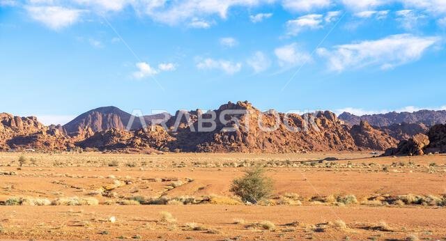 استمتع بالقيادة على الطريق الخلاب بين الرياض والعلا، مروراً بمناظر طبيعية من الصحراء الرملية والتكوينات الصخرية والجبال، في المملكة العربية السعودية.