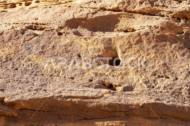 جبل عكمة، مكتبة اليونسكو المفتوحة المنحوتة في صخور الحجر الرملي في العلا بالمملكة العربية السعودية، تحفظ كلمات ونقوشاً قديمة لحضارة عريقة.