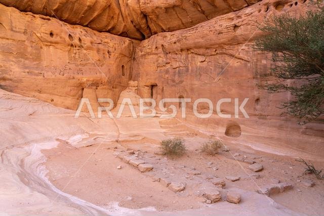 جبل إثلب، الديوان، تكوين صخري رملي منحوت قديم في صحراء الحِجر، دليل على التراث الثقافي الغني لليونسكو في العلا، المملكة العربية السعودية