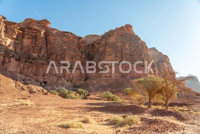 The amazing ancient ruins of tombs carved in the rock in Dadan archaeological site,  heritage of historical lost civilization, in AlUla, Saudi Arabia