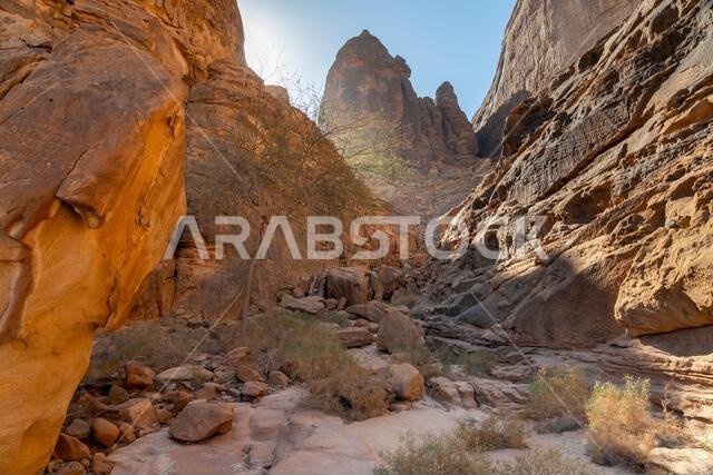 جبل عكمة، مكتبة اليونسكو المفتوحة المنحوتة في صخور الحجر الرملي في العلا بالمملكة العربية السعودية، تحفظ كلمات ونقوشاً قديمة لحضارة عريقة. جبل عكمة، مكتبة اليونسكو المفتوحة المنحوتة في صخور الحجر الرملي في العلا بالمملكة العربية السعودية، تحفظ كلمات ونقوشاً قديمة لحضارة عريقة.