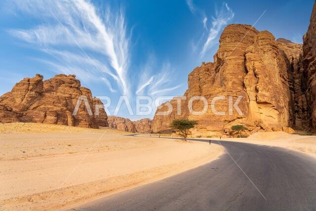 يُبرز وادي آشر البانورامي التكوينات الصخرية الرملية المذهلة لمنطقة العلا، وهي منطقة صحراوية خلابة في المملكة العربية السعودية. يُبرز وادي آشر البانورامي التكوينات الصخرية الرملية المذهلة لمنطقة العلا، وهي منطقة صحراوية خلابة في المملكة العربية السعودية.