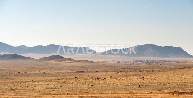 Drive on the beautiful scenic road between Riyadh and AlUla, through a landscape of sand desert, rock formations and mountains, in Saudi Arabia