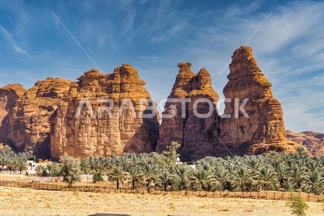 ترتفع بساتين النخيل الوارفة والتكوينات الصخرية القديمة من رمال صحراء العلا، وهي واحة خلابة في قلب شمال غرب المملكة العربية السعودية الوعر.