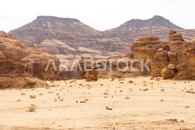 The panoramic Ashar Valley showcases the amazing sandstone rock formations of region of AlUla, a breathtaking desert landscape in Saudi Arabia