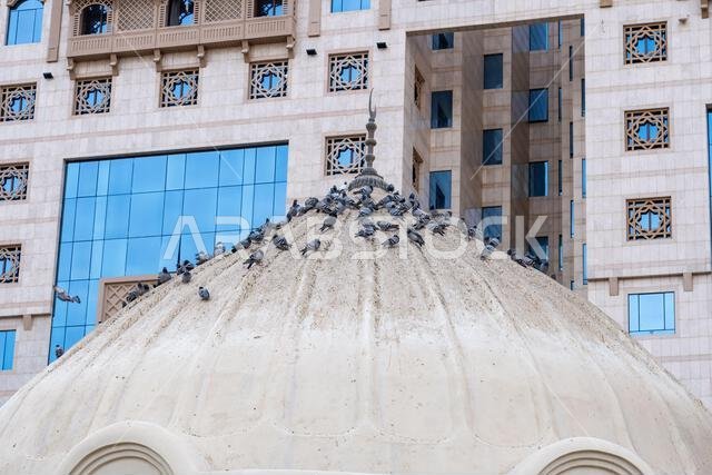 مسجد بكر الصديق، في المدينة المنورة بالمملكة العربية السعودية، موقع تراثي إسلامي مقدس يجذب الزوار من جميع أنحاء العالم الإسلامي مسجد بكر الصديق، في المدينة المنورة بالمملكة العربية السعودية، موقع تراثي إسلامي مقدس يجذب الزوار من جميع أنحاء العالم الإسلامي