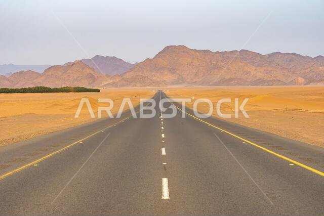 The scenic desert route from AlUla to Medina at sunrise, breathtaking panorama of Saudi Arabia with amazing sandstone rock formations The scenic desert route from AlUla to Medina at sunrise, breathtaking panorama of Saudi Arabia with amazing sandstone rock formations