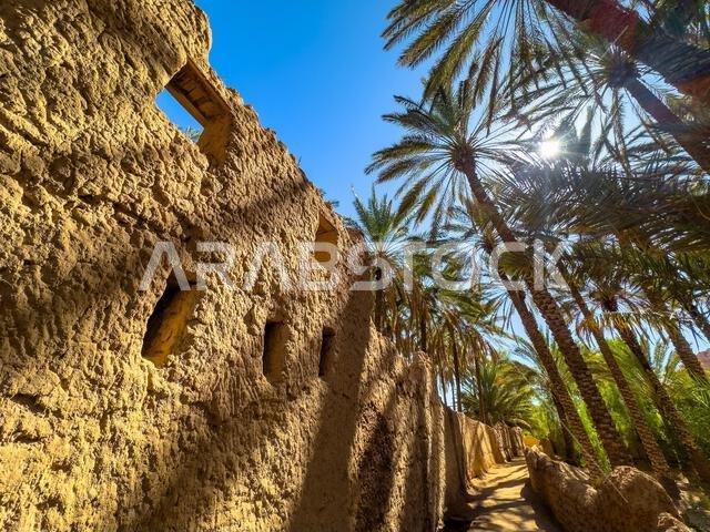 Old houses in the historic town of Al Ula, surrounded by date. Old houses in the historic town of Al Ula, surrounded by date.