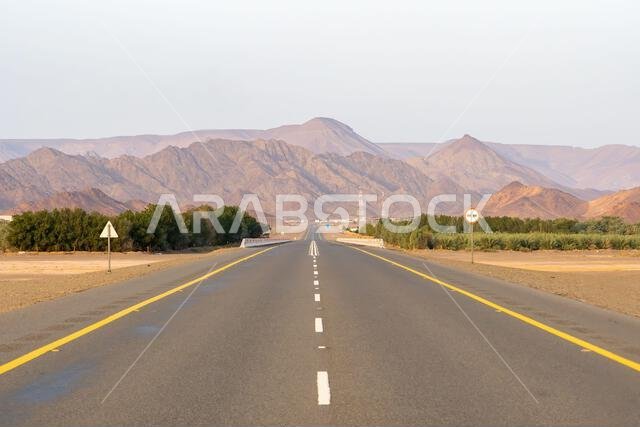 The scenic desert route from AlUla to Medina at sunrise, breathtaking panorama of Saudi Arabia with amazing sandstone rock formations