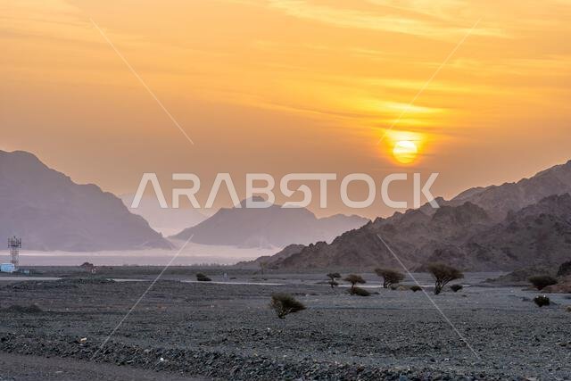 الطريق الصحراوي الخلاب من العلا إلى المدينة المنورة عند شروق الشمس، وإطلالة بانورامية آسرة على المملكة العربية السعودية مع تكوينات صخرية رملية مذهلة.