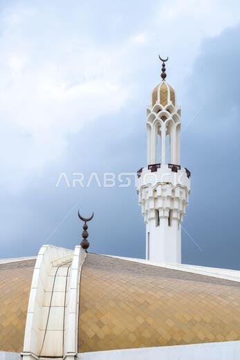 مسجد حسن عناني، أو مسجد حسن عناني، أو مسجد حسن عناني، أو مسجد النور، على البحر الأحمر على طول كورنيش جدة، في المملكة العربية السعودية