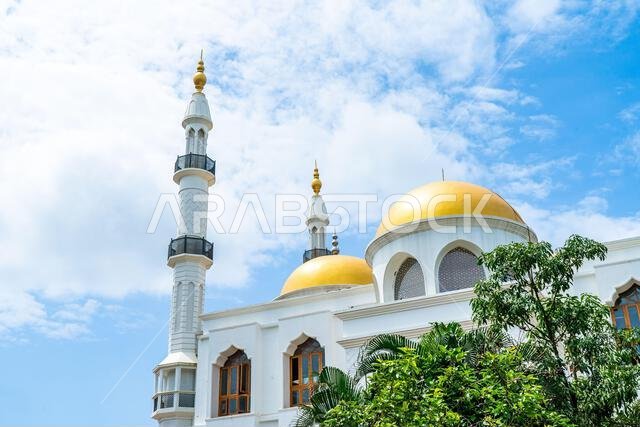 مسجد المدينة الكبير في مالابورام، ولاية كيرالا، الهند.