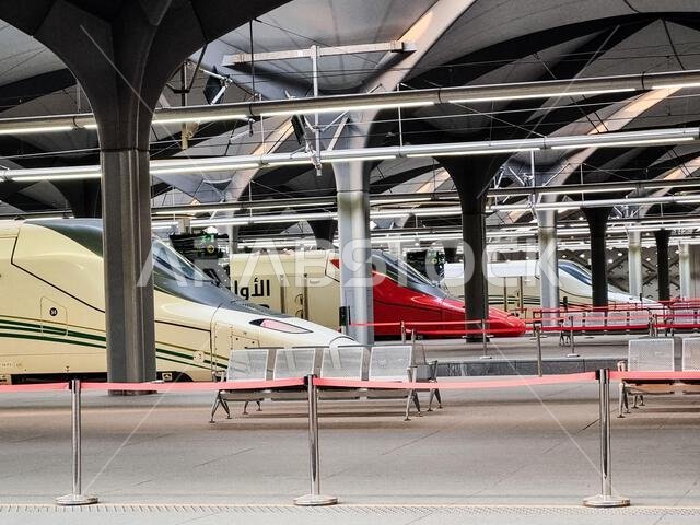 Modern high-speed trains at a railway station platform with distinctive architectural roof design.