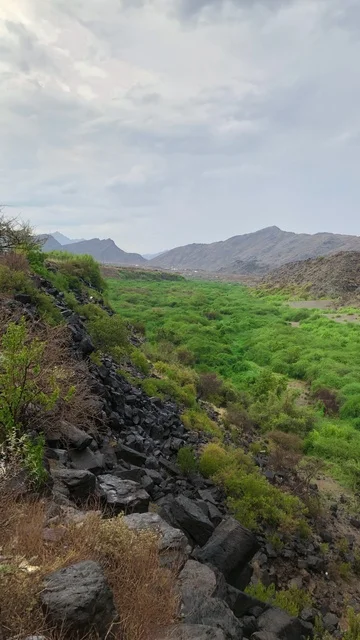 وادي عسير الأخضر والمناظر الطبيعية في السعودية