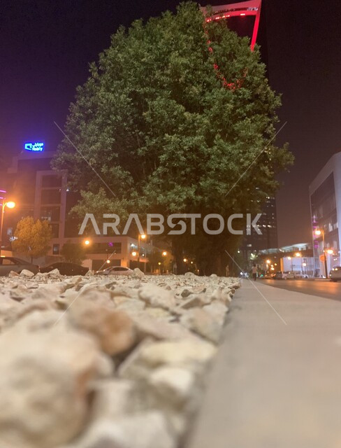 صورة بزاويه من الأسفل لبرج المملكة في مدينة الرياض بالمملكة العربية السعودية ، أبراج مدينة الرياض ، معالم مشهورة في الرياض ، الفن الهندسي المعماري في السعودية ، معالم سياحية في السعودية ، طرق وشوارع مدينة الرياض