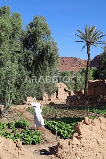 Scarecrow in a garden on the route through the  Heritage Oasis Trail at AlUla in Saudi Arabia