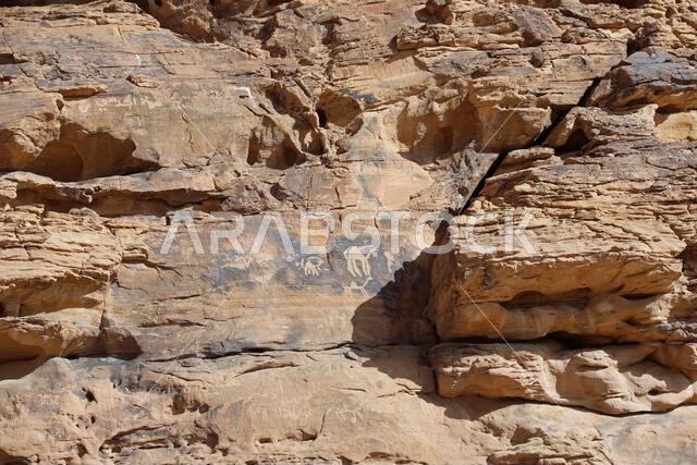 Petroglyphs at the Unesco World Heritage Site at Hail in Saudi Arabia