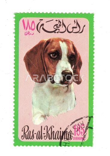 Vintage postage stamp from Ras Al Khaima featuring a dog isolated on a white background.