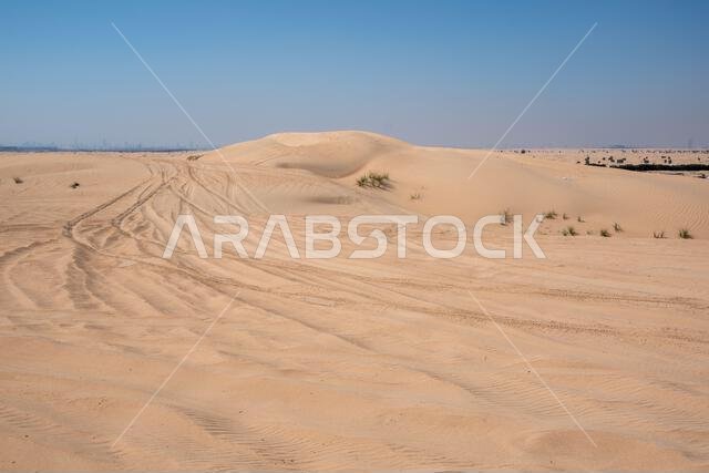 Al Qudra camels empty quarter seamless desert sahara in Dubai UAE middle east with wind paths and sand dunes hills under gray cloudy sky