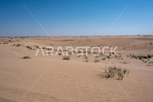 القدرة، ربع صحراء شاسعة متصلة في دبي، الإمارات العربية المتحدة، الشرق الأوسط، تتخللها مسارات الرياح وكثبان رملية وتلال تحت سماء رمادية ملبدة بالغيوم.