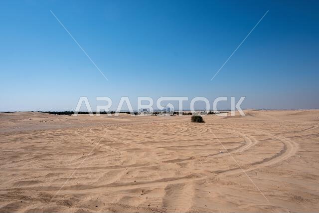 Al Qudra camels empty quarter seamless desert sahara in Dubai UAE middle east with wind paths and sand dunes hills under gray cloudy sky Al Qudra camels empty quarter seamless desert sahara in Dubai UAE middle east with wind paths and sand dunes hills under gray cloudy sky