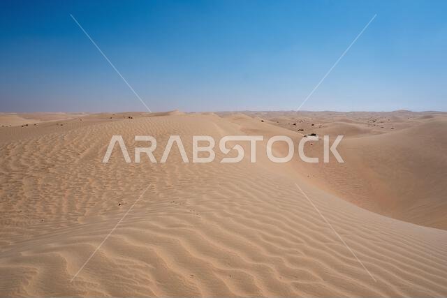 Al Qudra camels empty quarter seamless desert sahara in Dubai UAE middle east with wind paths and sand dunes hills under gray cloudy sky