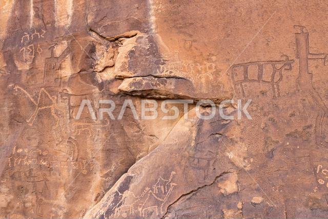 Middle East, Saudi Arabia, Hail Province, Jubbah. Ancient petroglyph of camels and other animals at the Jubbah rock art site at Ob Sinman Mountain.