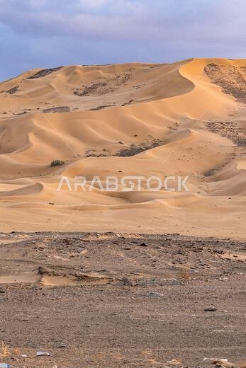 Middle East, Saudi Arabia, Tabuk Province, Tayma. Sand dunes in the Saudi Arabian desert.