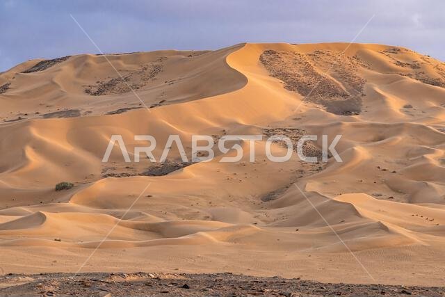 الشرق الأوسط، المملكة العربية السعودية، منطقة تبوك، تيماء. كثبان رملية في الصحراء السعودية.